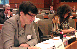 Irene Johansen presenterer rapporten om EUs programmer. Til høyre: Laila Marie Reiertsen.