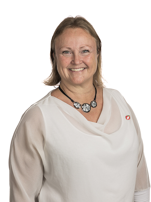 Skriftlig spørsmål fra Anette Carnarius Elseth (FrP) til justis- og beredskapsministeren. Besvart: 05.11.2025 av justis- og beredskapsminister Astri Aas-Hansen