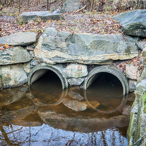 Illustrasjonsfoto. iStock.