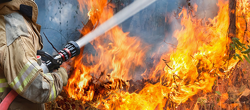 Foto: Akhararat Wathanasing/iStock