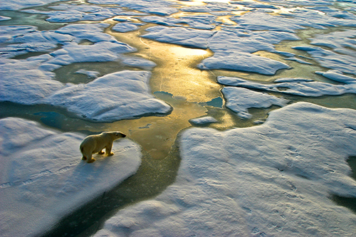 Foto: Sepp Friedhuber/iStock