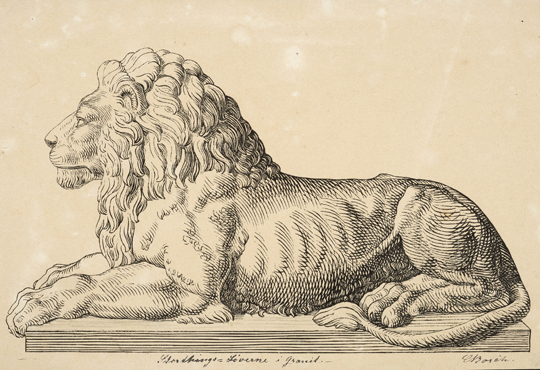 Christopher Borchs tegning av løven. Drammens Museum. Foto: Bjørn Johnsen.